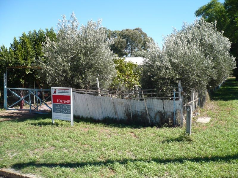 17 Rose Street, Buronga NSW 2739