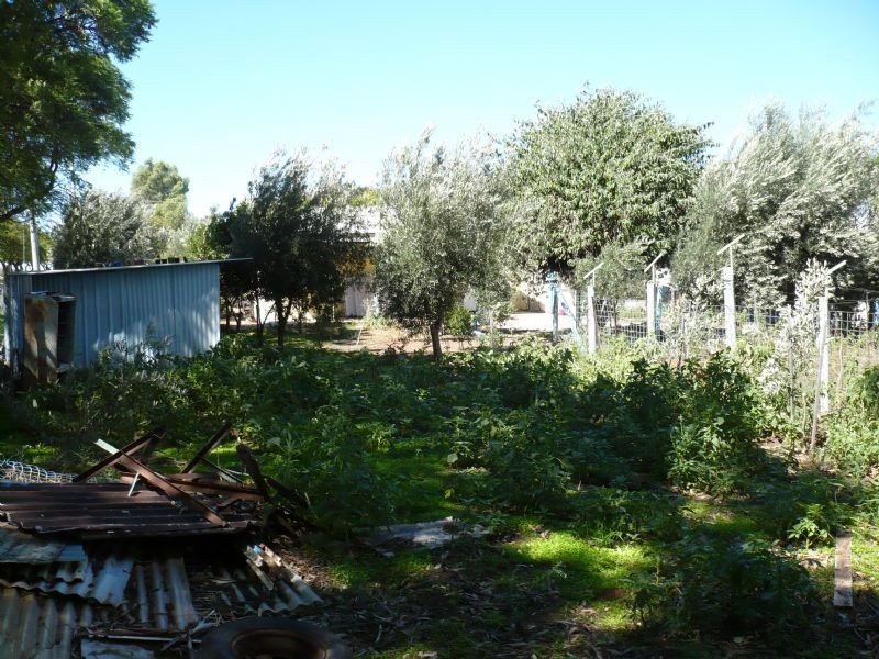 17 Rose Street, Buronga NSW 2739