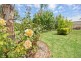 16 Nabila Court, Mildura VIC 3500