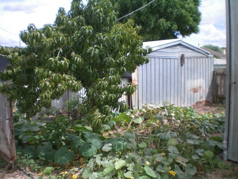 17 Game Street, Merbein VIC 3505