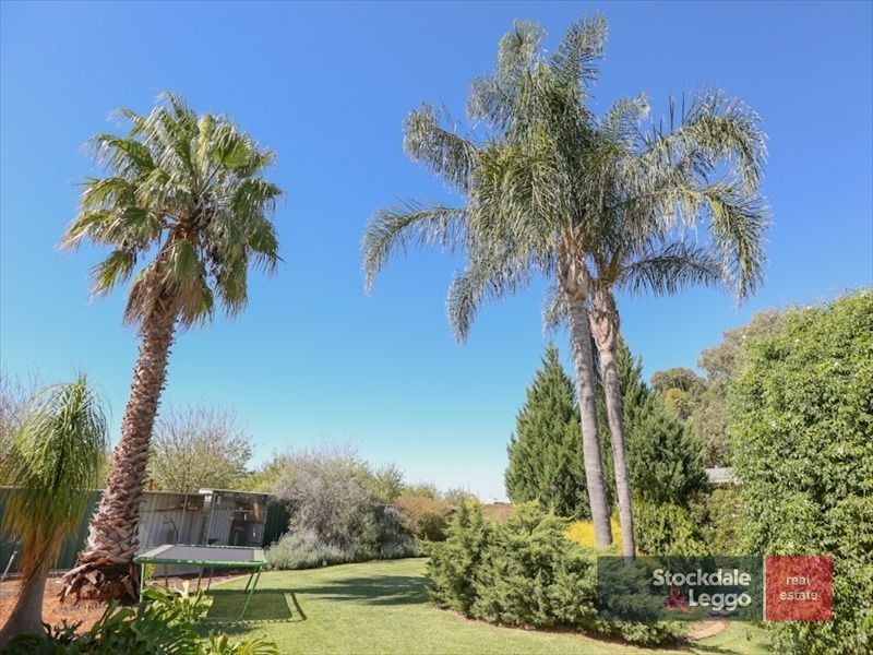 907 Coorong Avenue, Red Cliffs VIC 3496