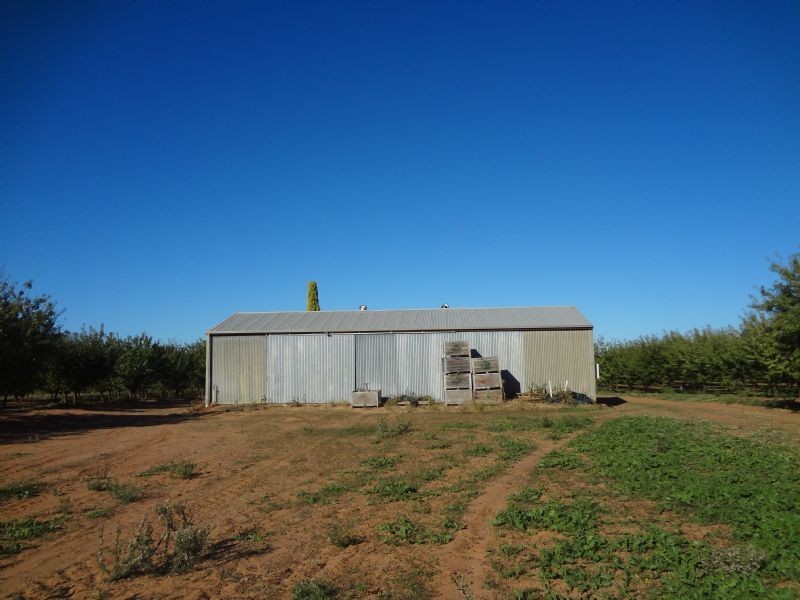 483 Trioda Street, Red Cliffs VIC 3496