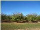 313 Leachs Road, Red Cliffs VIC 3496