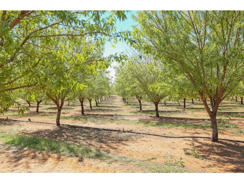 213 Calder Highway, Red Cliffs VIC 3496