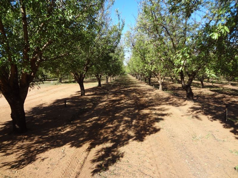 831 Coorong Avenue, Red Cliffs VIC 3496