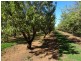 831 Coorong Avenue, Red Cliffs VIC 3496