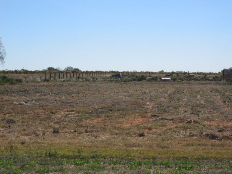 116 Ash Avenue, Merbein South VIC 3505