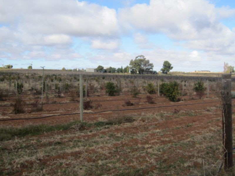 Block 137 Cowra Avenue, Mildura VIC 3500