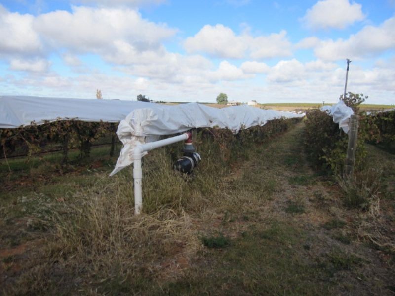 Block 137 Cowra Avenue, Mildura VIC 3500