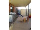 10 Madison Close, Mildura VIC 3500
