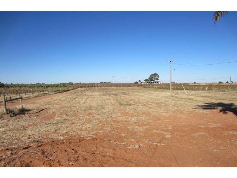 62 Nealie Street, Cardross VIC 3496