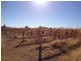 301 Millewa Road, Red Cliffs VIC 3496