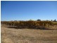 301 Millewa Road, Red Cliffs VIC 3496