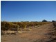301 Millewa Road, Red Cliffs VIC 3496