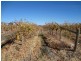 301 Millewa Road, Red Cliffs VIC 3496