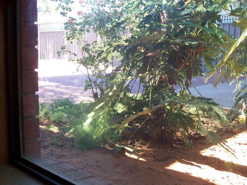 2/401 Walnut Avenue, Mildura VIC 3500