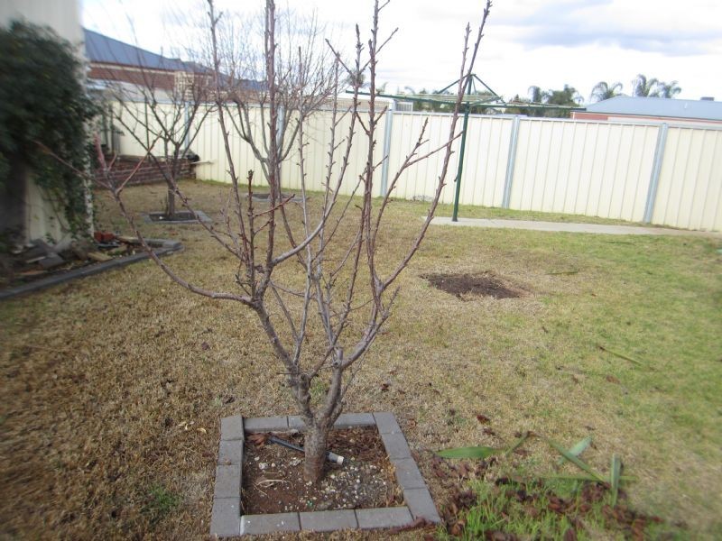 31 Belle Gardens Drive, Mildura VIC 3500