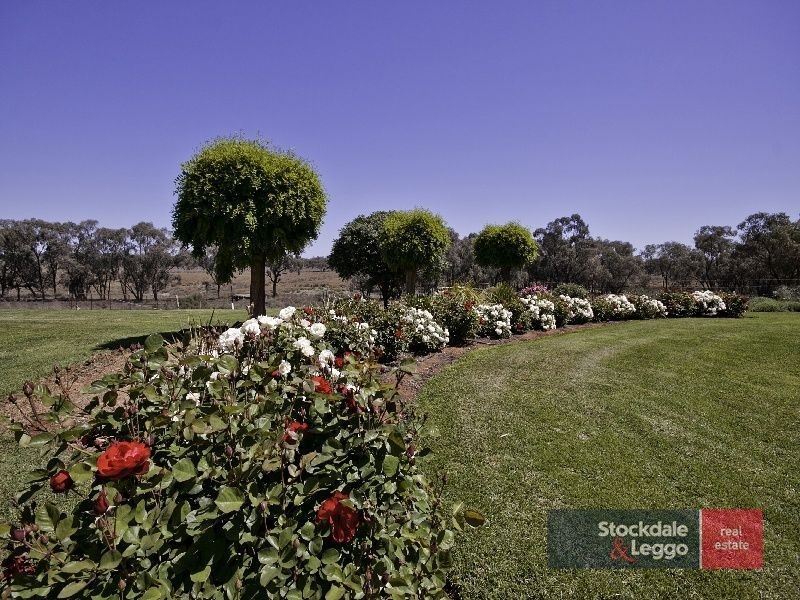 321 Silver City Highway, Mildura VIC 3500