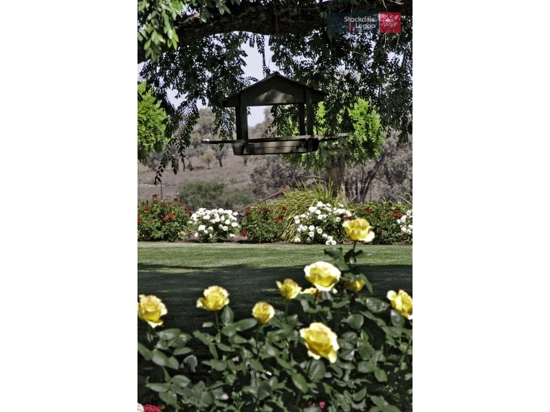 321 Silver City Highway, Mildura VIC 3500