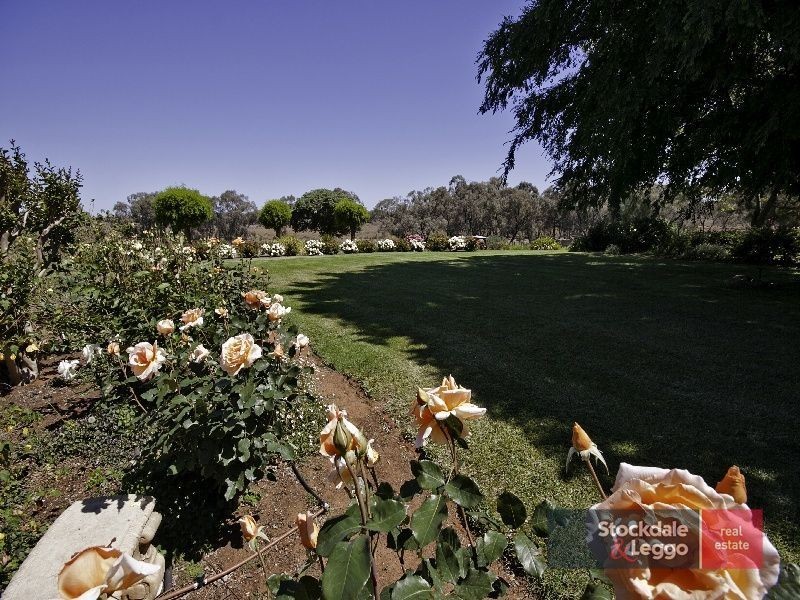 321 Silver City Highway, Mildura VIC 3500