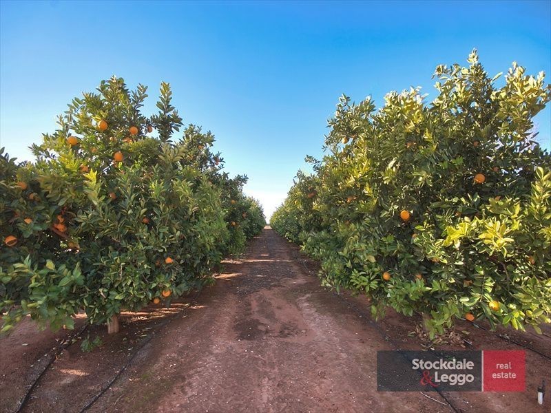 321 Silver City Highway, Mildura VIC 3500