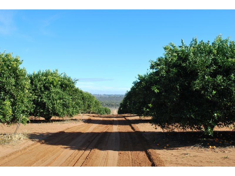 Lot 2 Bonnie Doon Road, Monak NSW 2738