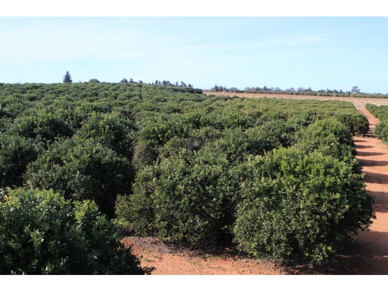 Lot 2 Bonnie Doon Road, Monak NSW 2738