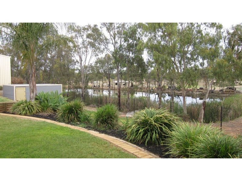 56 Carramar Drive, Gol Gol NSW 2738