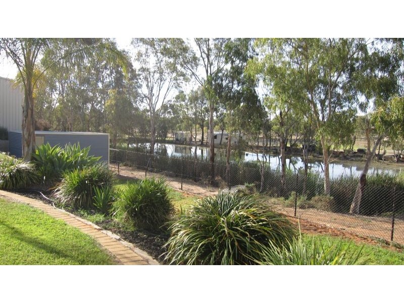 56 Carramar Drive, Gol Gol NSW 2738
