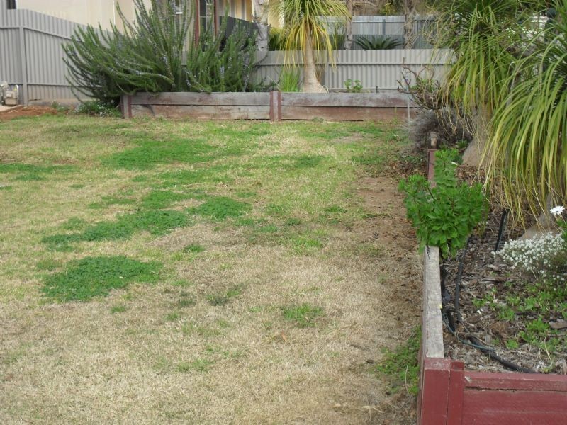 222 Beech Avenue, Mildura VIC 3500