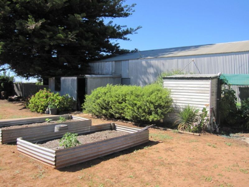 71 Benghazi Road, Robinvale VIC 3549