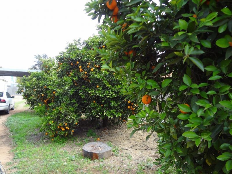 40 Heath Street, Red Cliffs VIC 3496