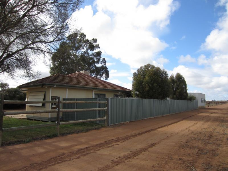 524 Irymple Avenue, Irymple VIC 3498