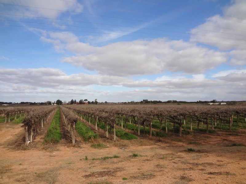 Cnr Sandilong Avenue and Seventeenth Street, Irymple VIC 3498