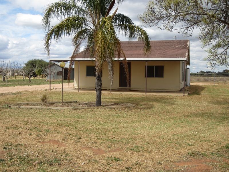 1226 Karadoc Avenue, Irymple VIC 3498