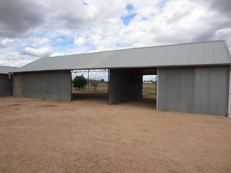 1226 Karadoc Avenue, Irymple VIC 3498