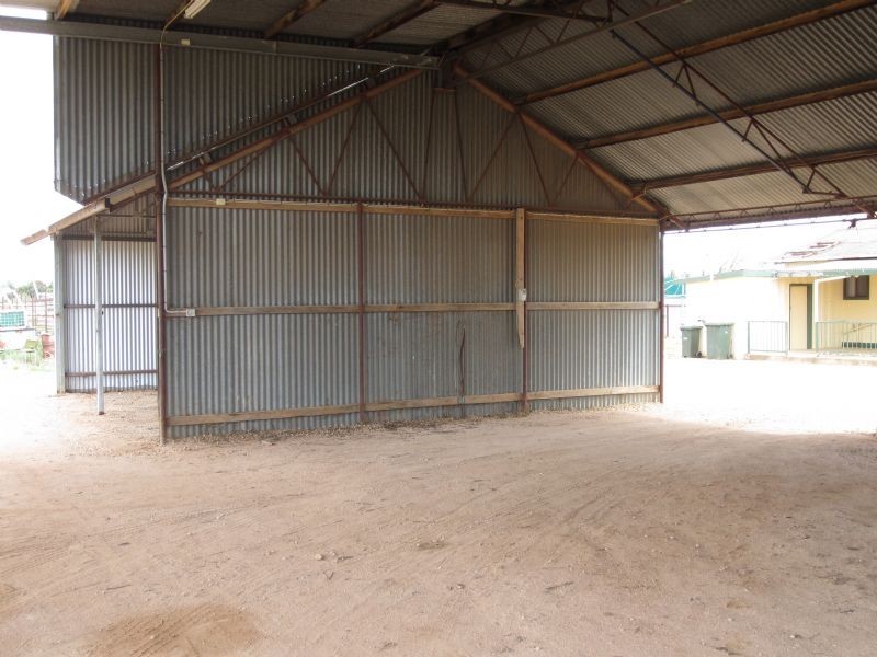 1226 Karadoc Avenue, Irymple VIC 3498