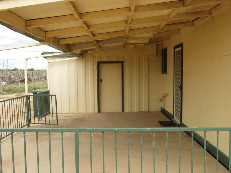 1226 Karadoc Avenue, Irymple VIC 3498