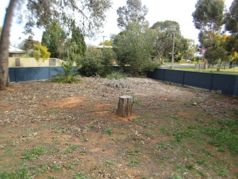 2 Parke Street, Robinvale VIC 3549