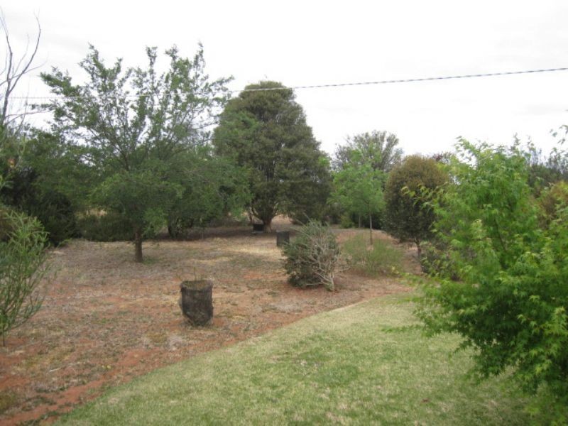 80 Shaggy Ridge Road, Robinvale VIC 3549