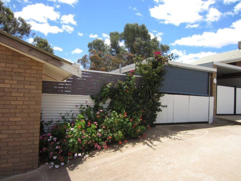 1/5 Riverview Drive, Dareton NSW 2717