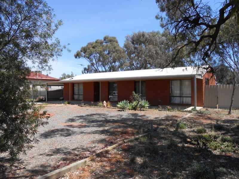 39 Gunn Street, Wentworth NSW 2648