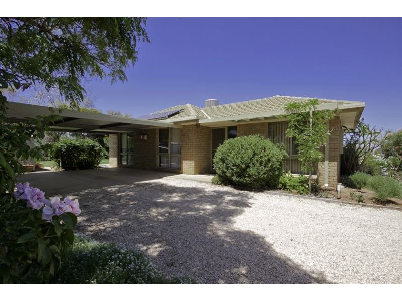 1202 Karadoc Avenue, Irymple VIC 3498