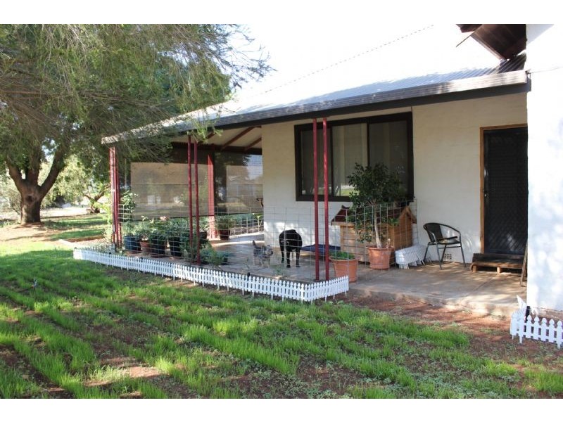 10 School Road, Dareton NSW 2717