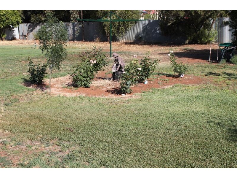 10 School Road, Dareton NSW 2717