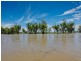 194 Adams Street, Wentworth NSW 2648