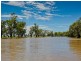 194 Adams Street, Wentworth NSW 2648