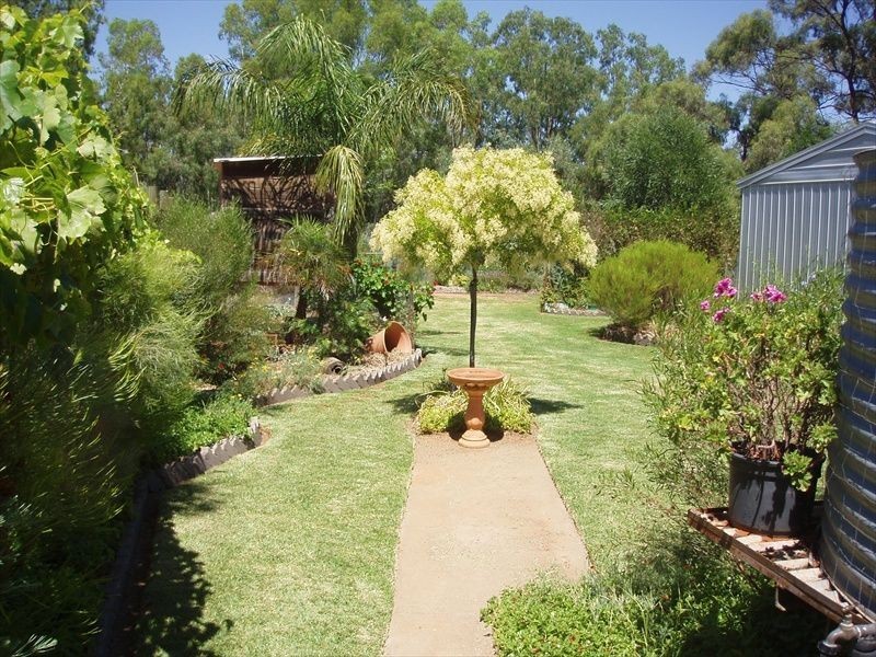194 Adams Street, Wentworth NSW 2648