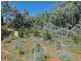194 Adams Street, Wentworth NSW 2648