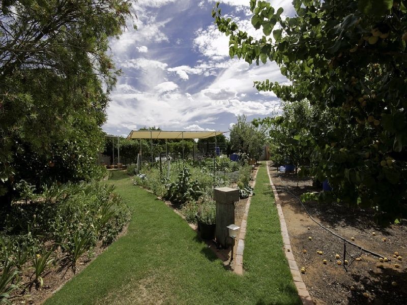 17 Koorlong Avenue, Nichols Point VIC 3501